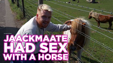 sex stories with a horse